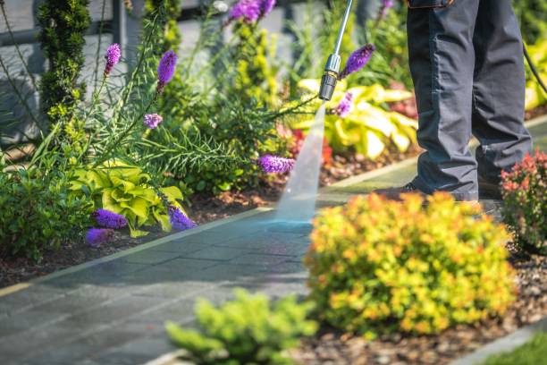 Best Animal Enclosure Cleaning  in Upper Pohatcong, NJ