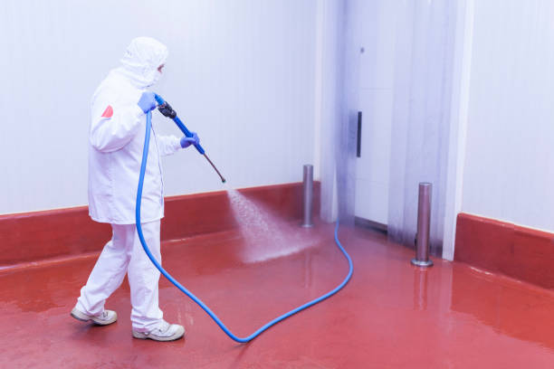 Pre-Holiday Cleaning in Upper Pohatcong, NJ