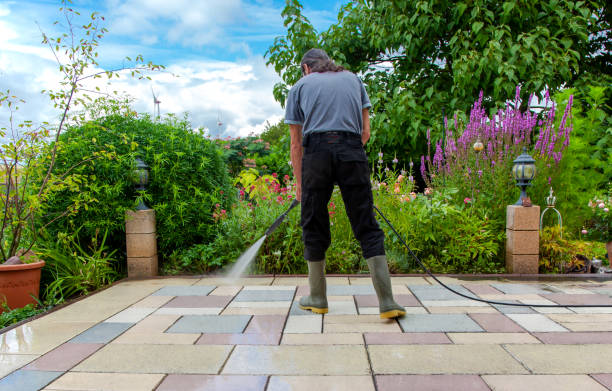 Best Roof Washing  in Upper Pohatcong, NJ